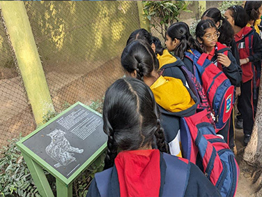 cbse school in brahmpur Kankarbagh patna bihar